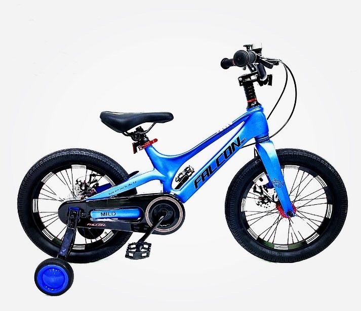 E85AEBB1-5653-446A-AAFE-F490022F5E54